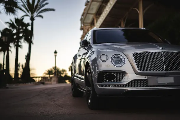 كازينو سيلك بينغو تطبيق أندرويد/آي أو إس